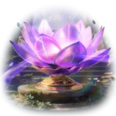Legacy in Bloom